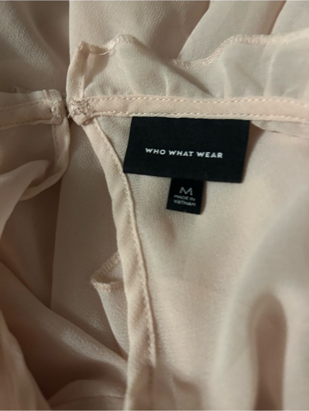 Who What Wear Pale Pink Ruffle Sheer Blouse medium. - Picture 5 of 6